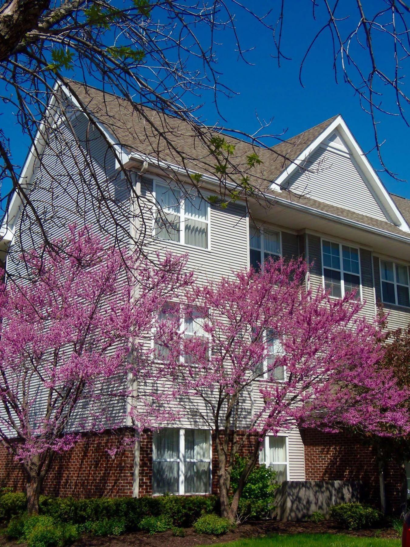 Residence Inn Indianapolis Airport Экстерьер фото